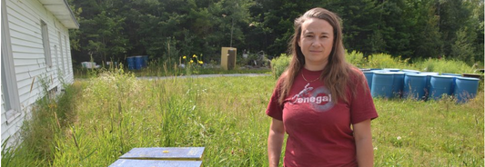 Une apicultrice dénonce le vol de ruches