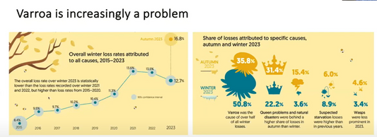 Série de webinaires 1 – Garder une longueur d'avance sur le varroa : défis et stratégies