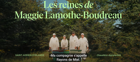 Les chemins de travers - Rayons de miel